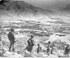 afgan1960