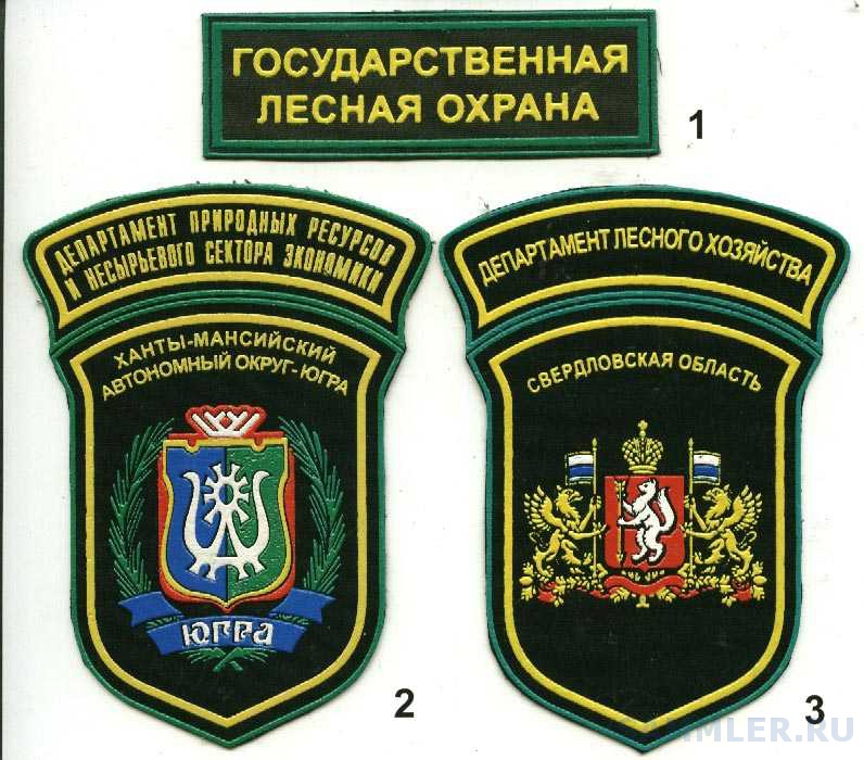 Знаки лесной охраны. Шевроны нашивки государственная Лесная охрана. Шевроны лесника. Шеврон лесного хозяйства. Форменная одежда Лесной охраны