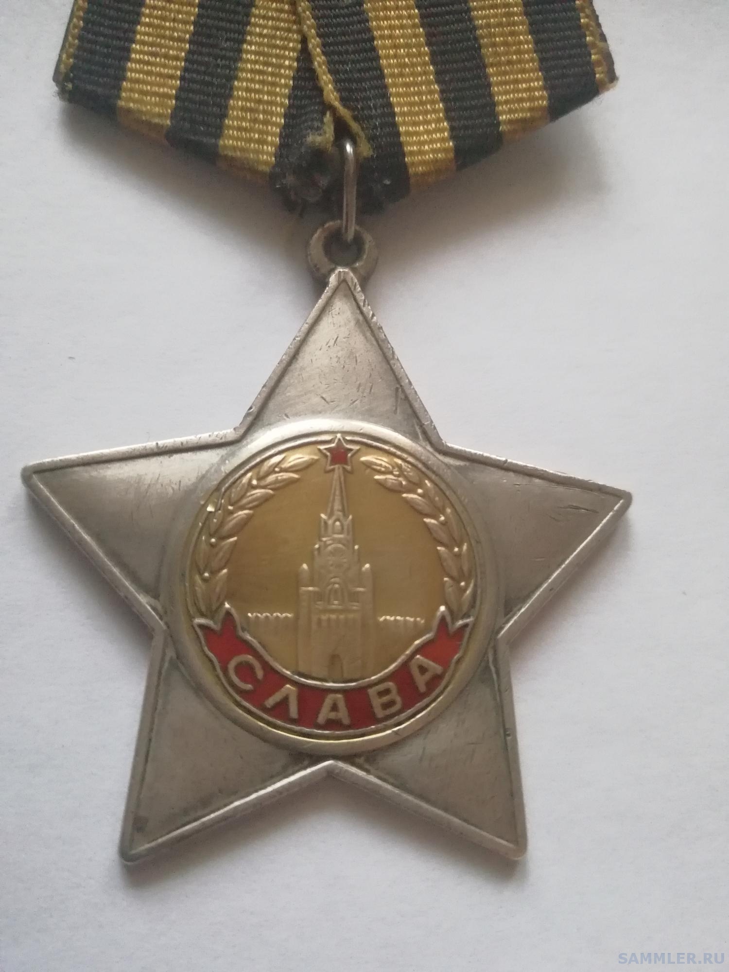 Орден славы идиот. Орден славы идиот