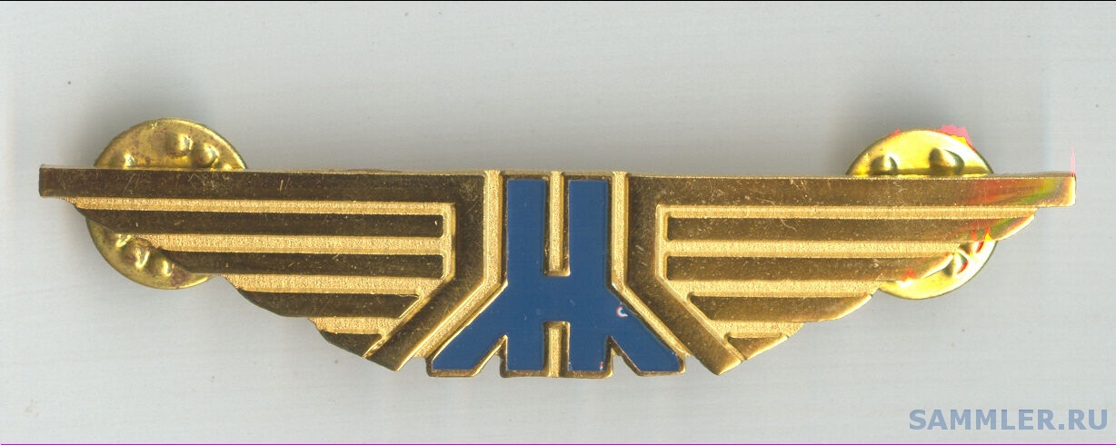 Hydro Air Defunct Airlines South Africa Pilot Wings Badge.jpg