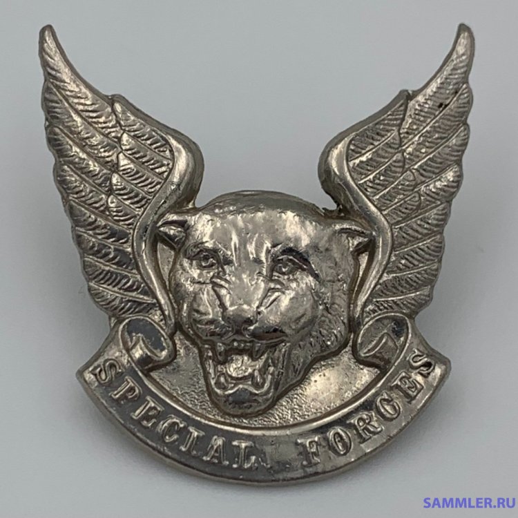 Transkei Special Forces Cap Badge.jpg
