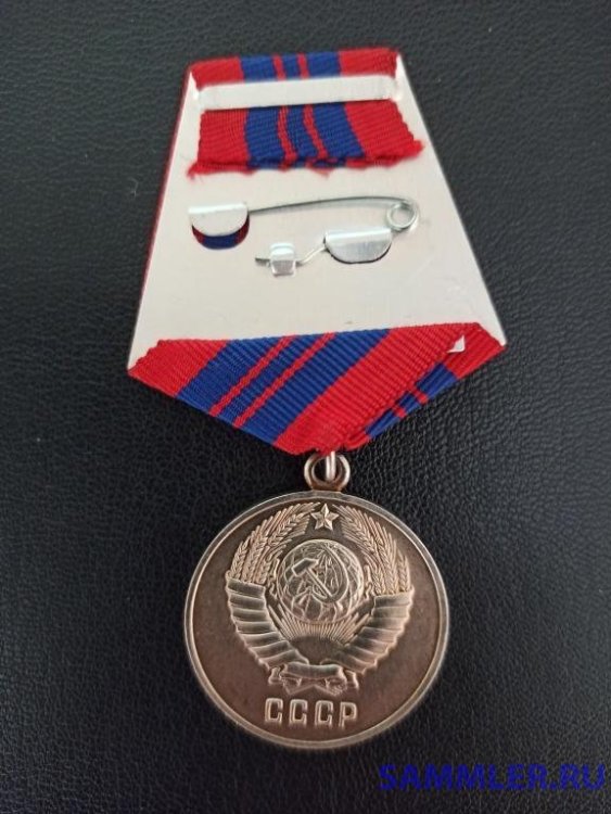 medal_za_otlichnuju_sluzhbu_po_oop (1).jpg