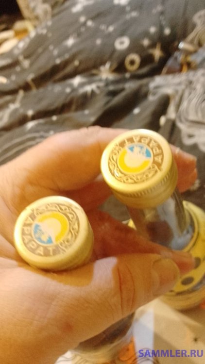 IMG-20240511-WA0081.jpeg