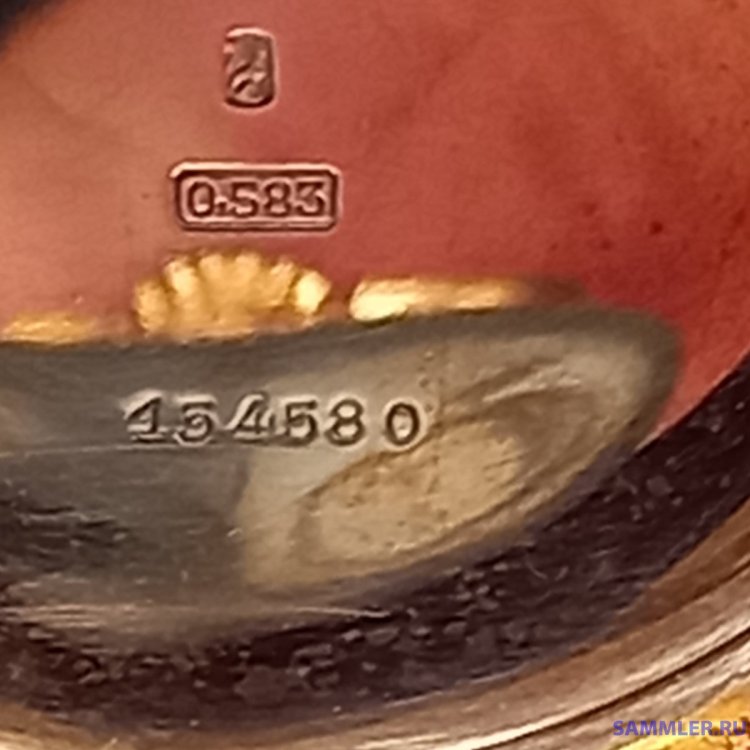 20240609_132222.jpg