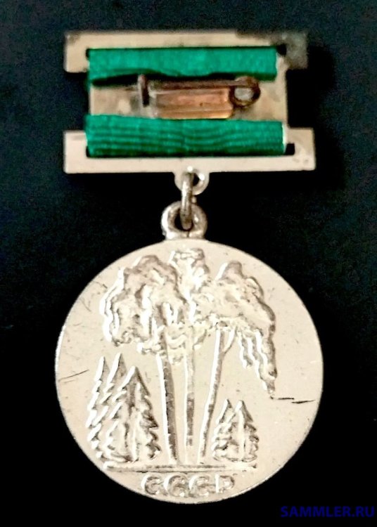 Копия 316605682.jpg