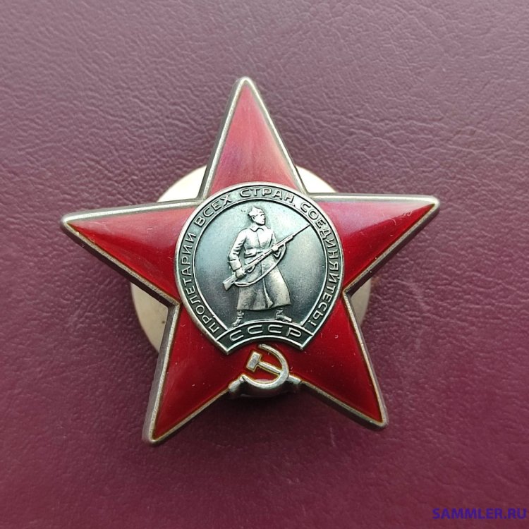 1729755329887.jpg