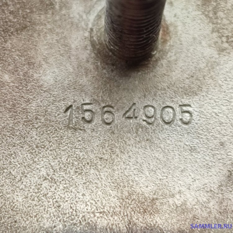 1729755329896.jpg