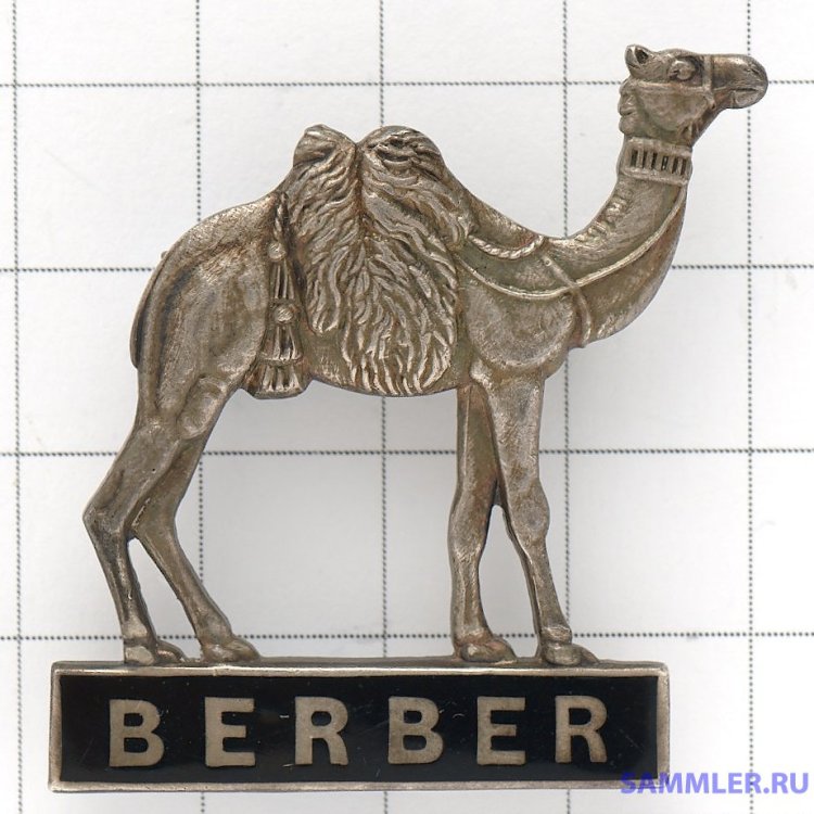 Berber Camel.jpg