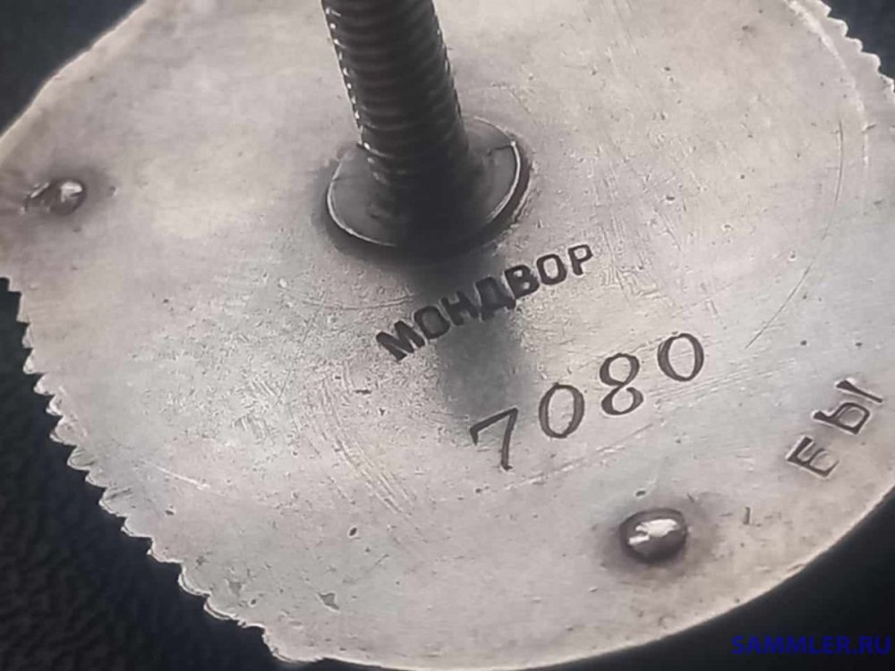 462561059_888649370058320_6165936206947905557_n.jpg