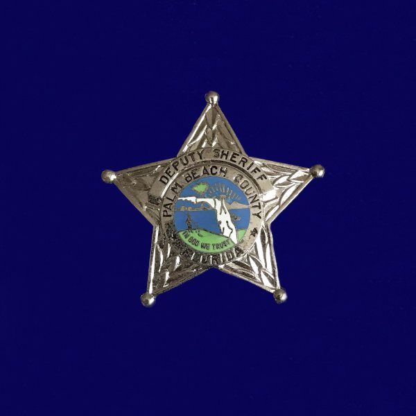 US BADGE3.jpg