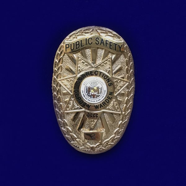 US BADGE31.jpg