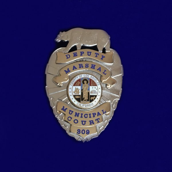 US BADGE56.jpg