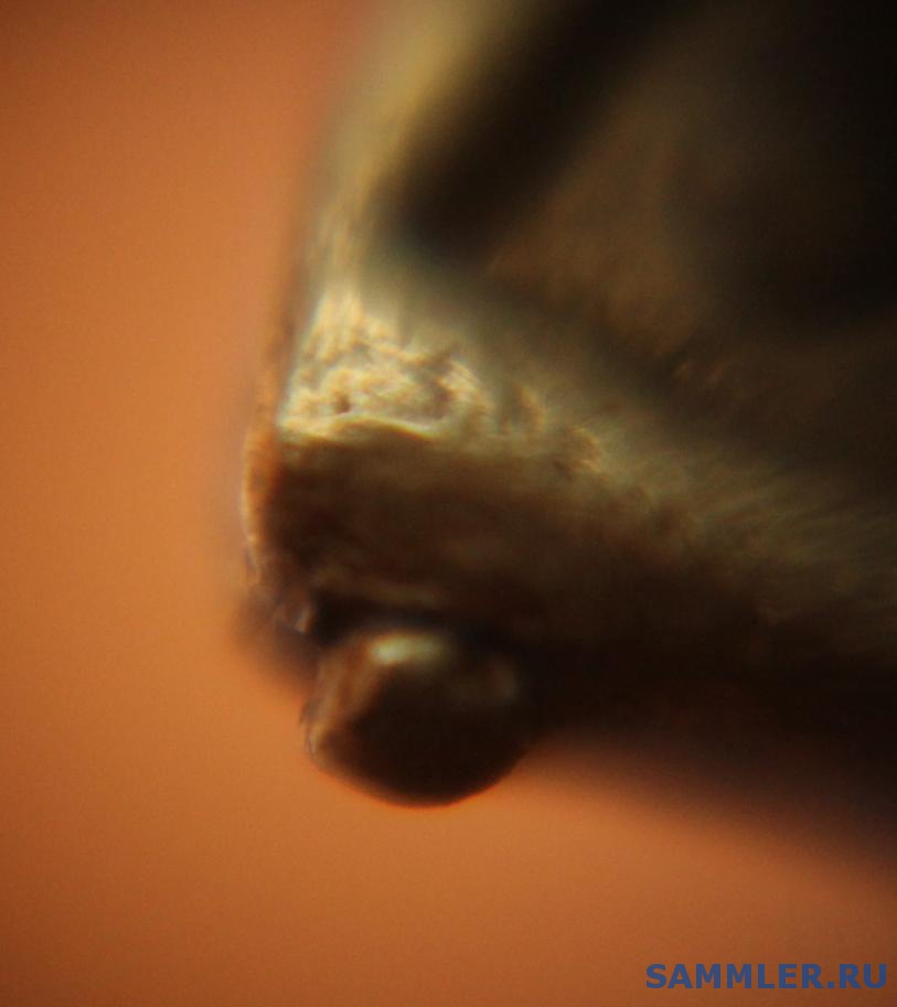 post-19-1340439300_thumb.jpg