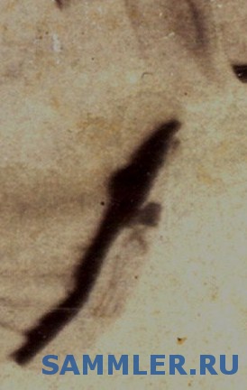 Казаки1_3.jpg