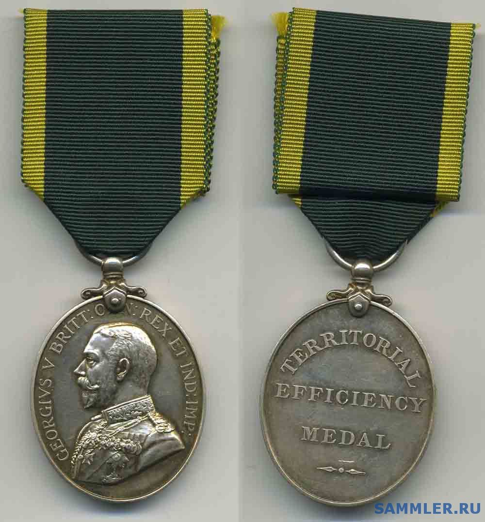Territorial_Efficirncy_Medal__G_V_.jpg