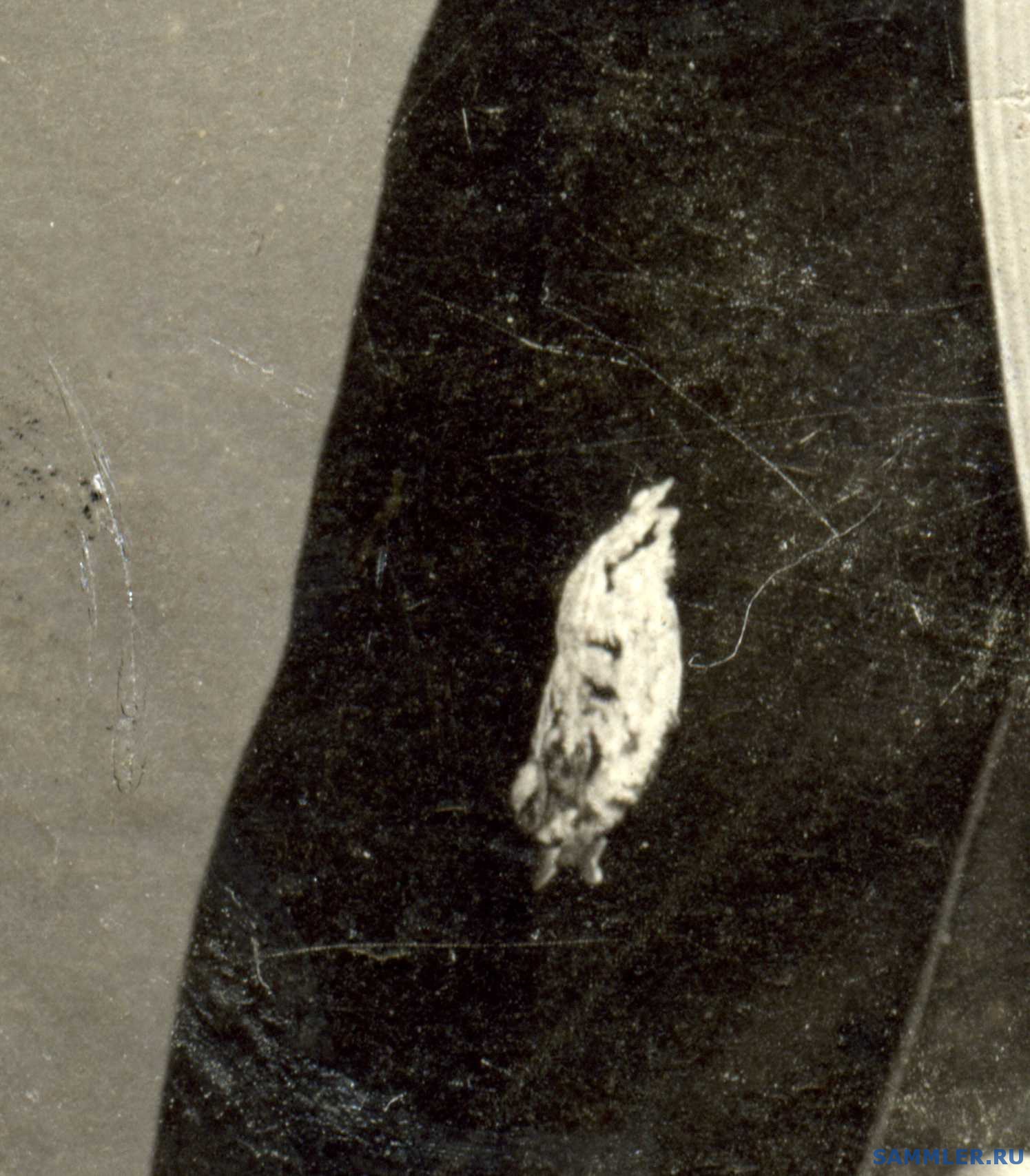 post-650-1281641902_thumb.jpg
